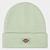 Шапка Dickies Gibsland Beanie Quiet Green