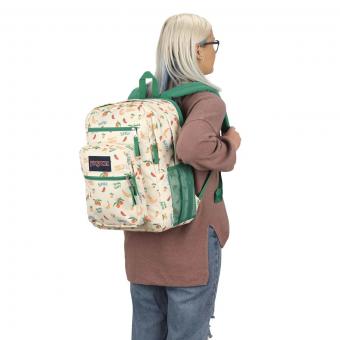 Рюкзак Jansport Big Student Five A Day Cream