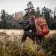 Рюкзак Fjallraven Singi Stubben 633 (Dark Olive)