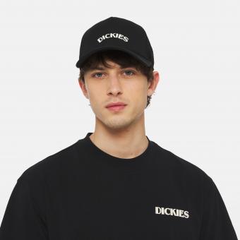 Бейсболка Dickies Shawsville Trucker Black
