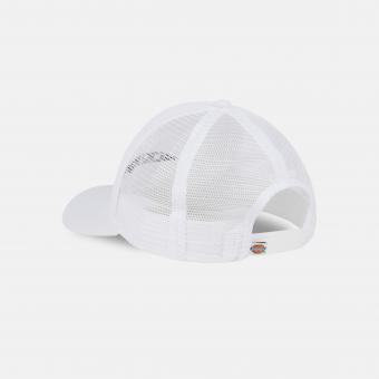 Бейсболка Dickies Shawsville Trucker Cloud