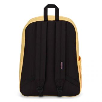 Рюкзак JanSport Superbreak Plus Sun Shimmer