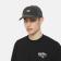 Бейсболка Dickies Hardwick Duck Canvas Cap Black