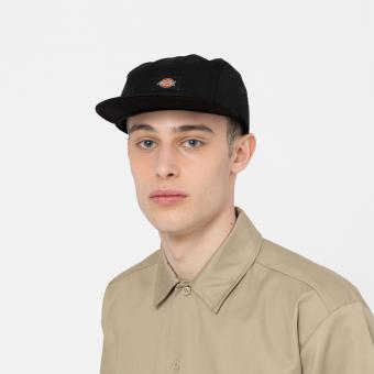 Бейсболка Dickies Albertville Black