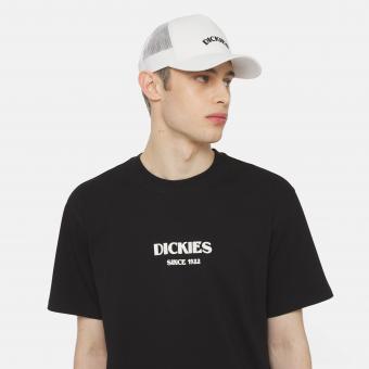 Бейсболка Dickies Shawsville Trucker Cloud