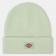 Шапка Dickies Gibsland Beanie Quiet Green