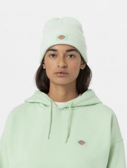 Шапка Dickies Gibsland Beanie Quiet Green