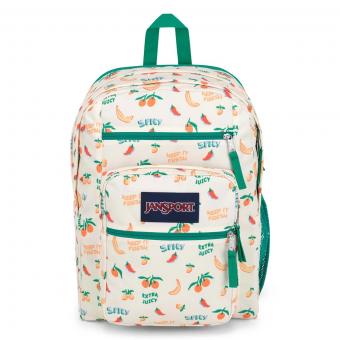 Рюкзак Jansport Big Student Five A Day Cream